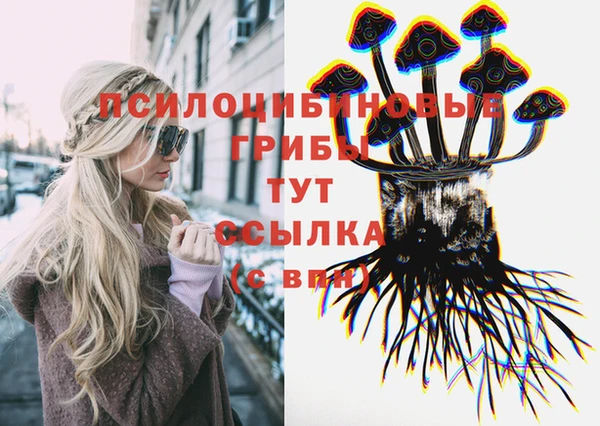 apvp Верхний Тагил