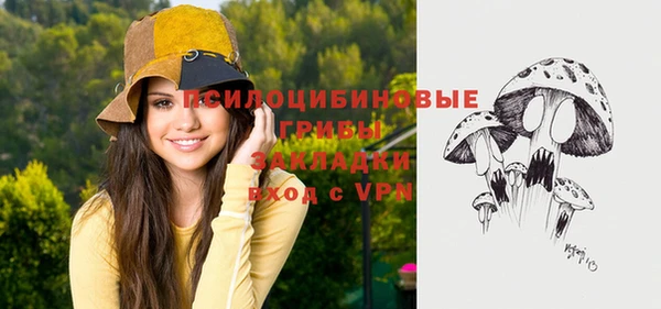 кокс Бородино