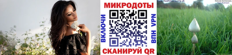 Галлюциногенные грибы MAGIC MUSHROOMS  Лосино-Петровский 